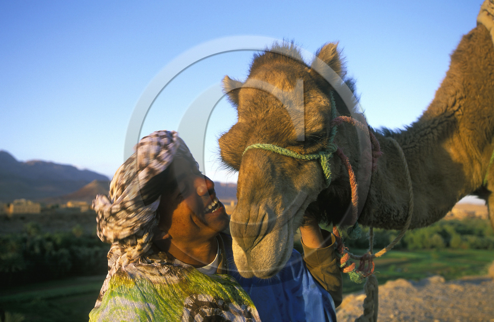 MAROC SUD  TINEGHIR.JEUNE HOMME AVEC CHAMEAU