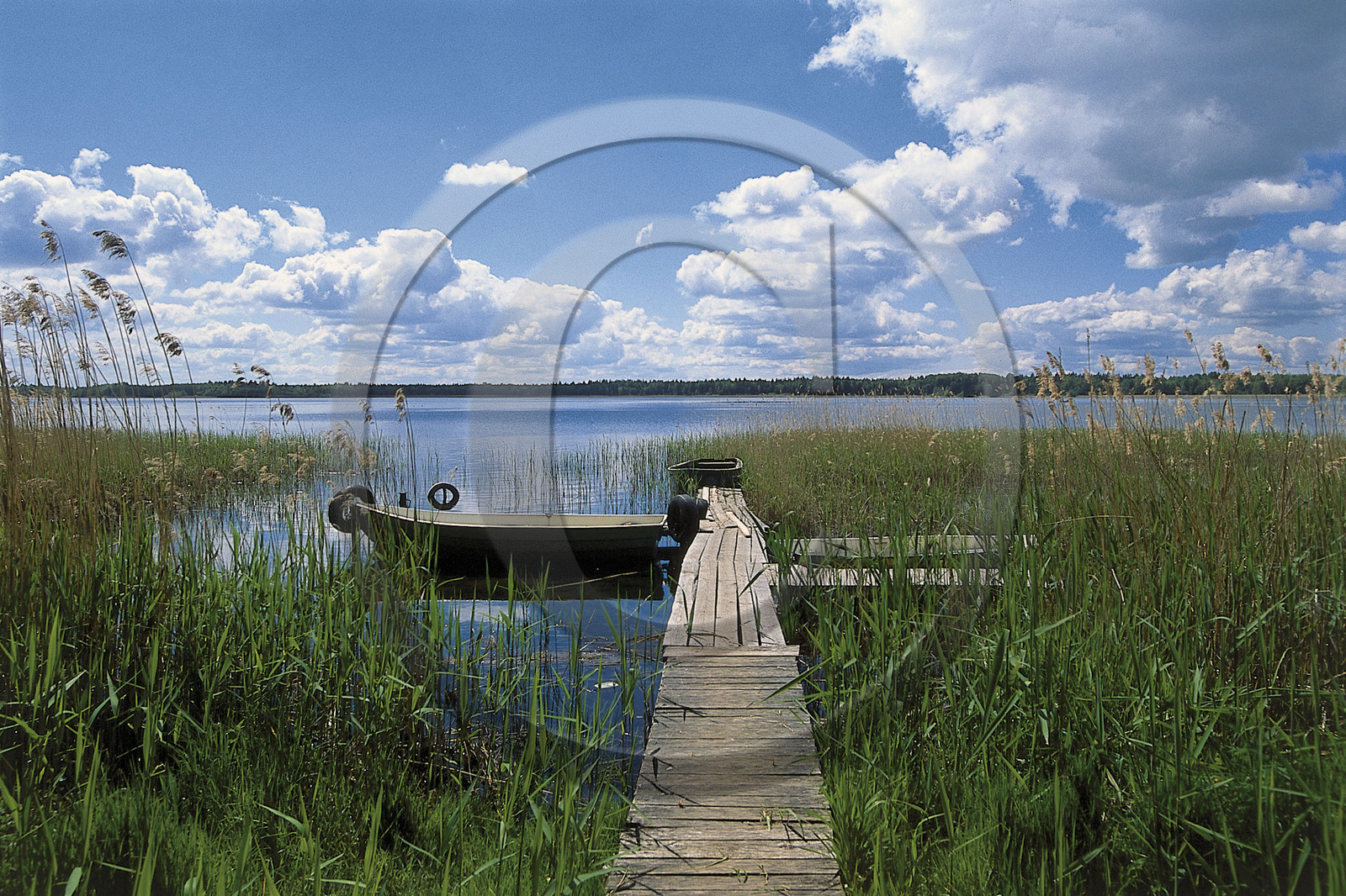 Estonie, Pays Baltes