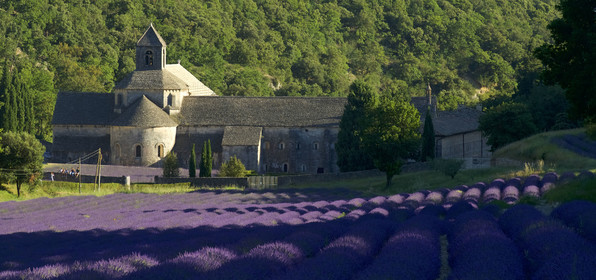 France, Senanque