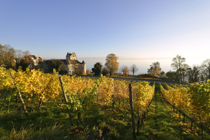 Allemagne, Meersburg