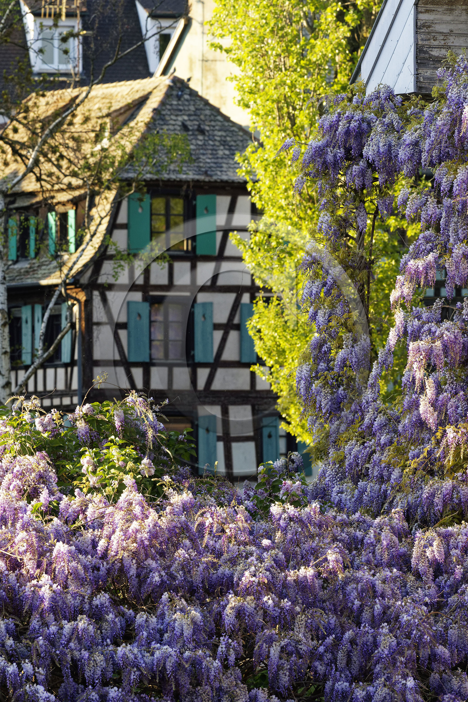 France, Strasbourg