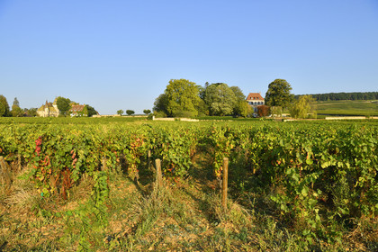 France, Bourgogne