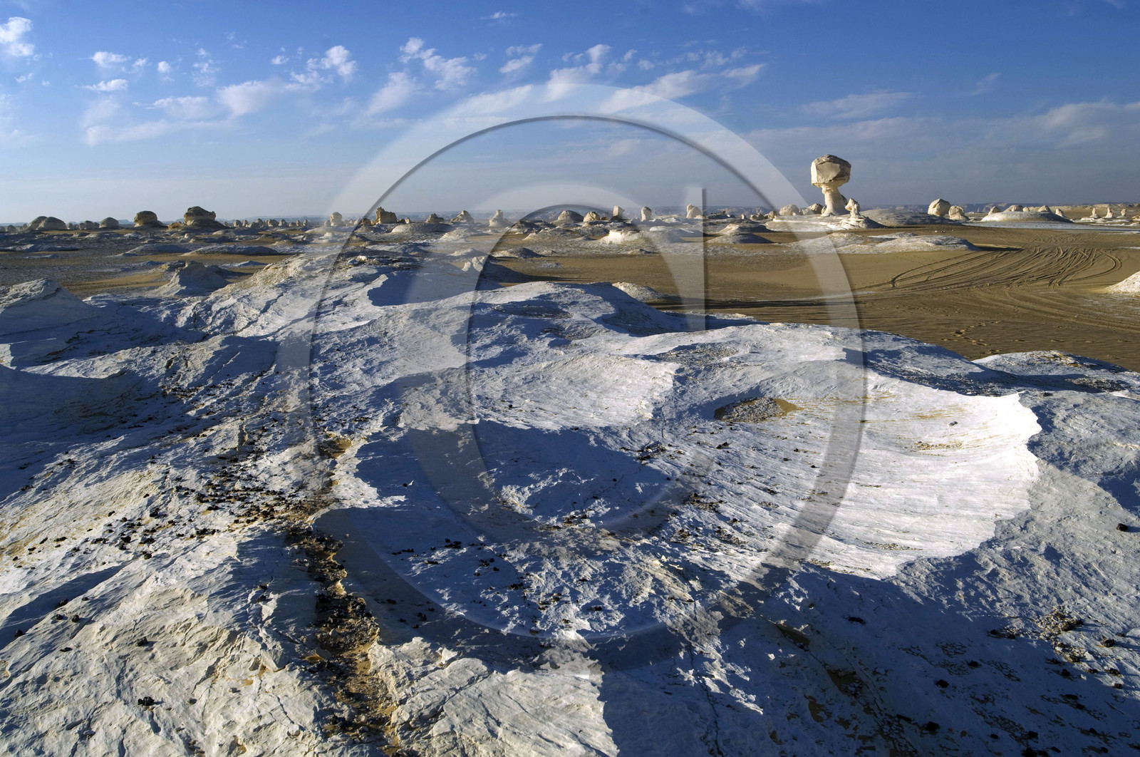Egypte, désert blanc