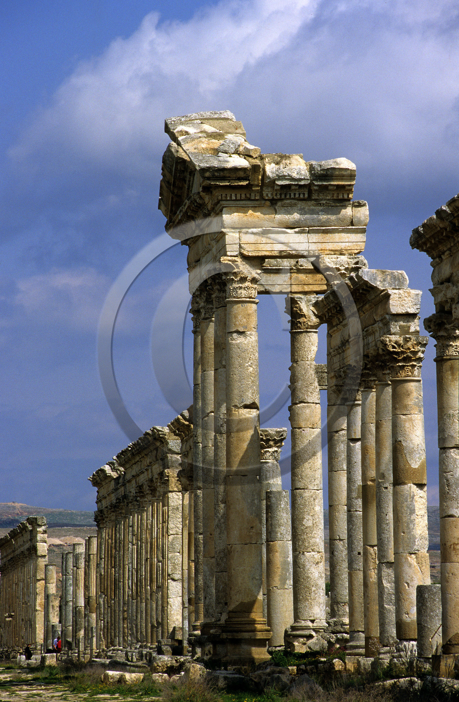 Syrie, Apamée