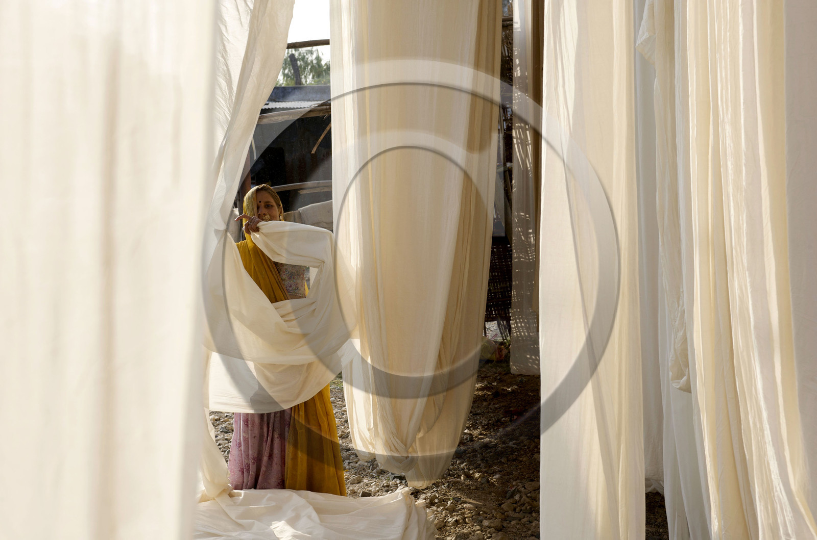 Inde, sari