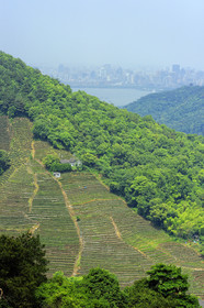 Chine, Hangzhou