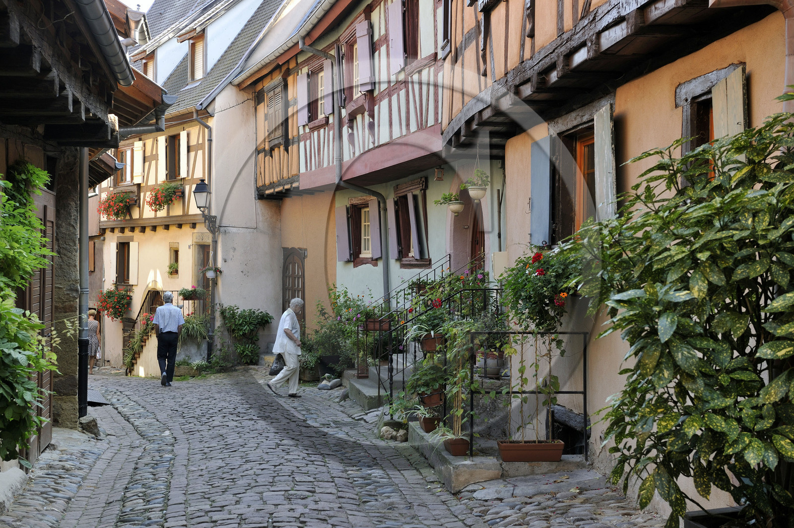France, Eguisheim
