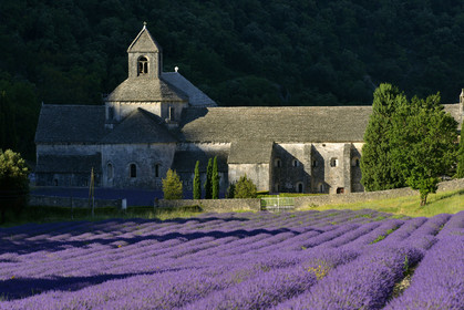 France, Senanque