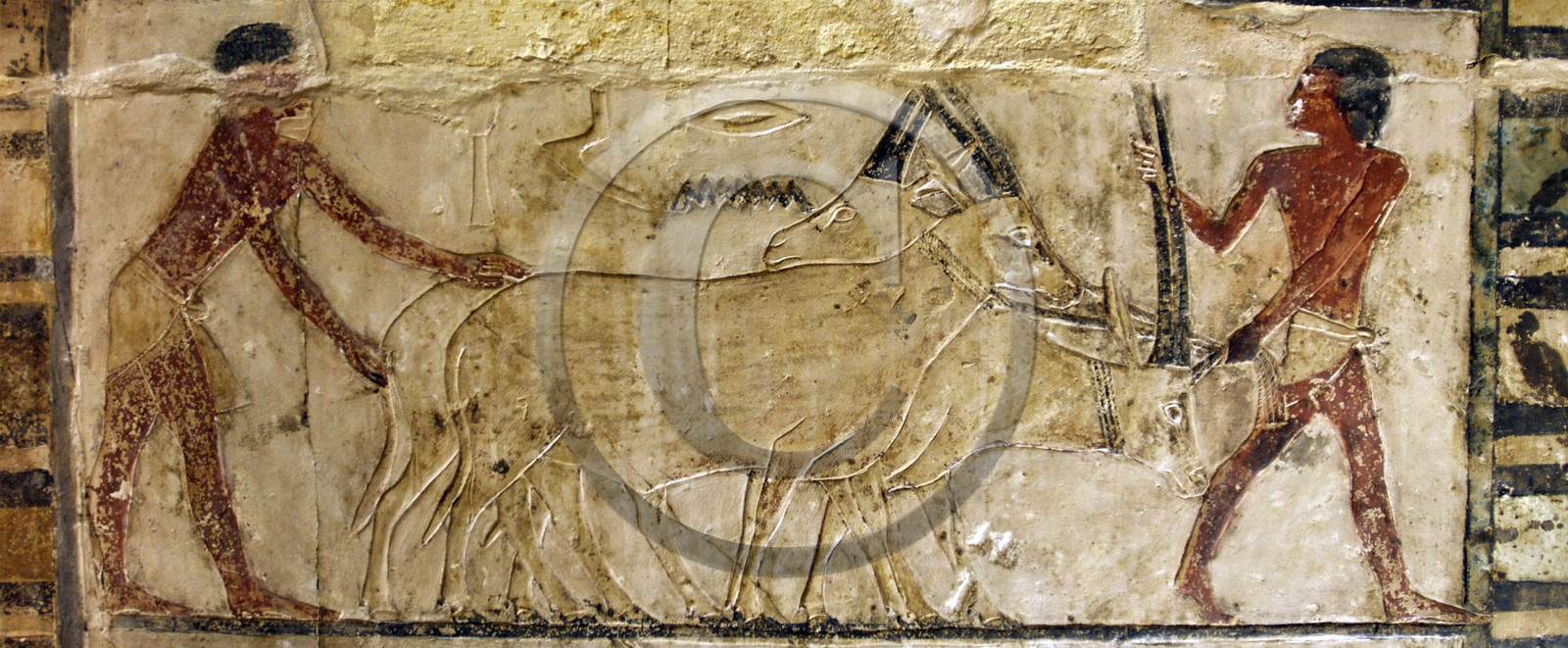 Egypte, Saqqarah