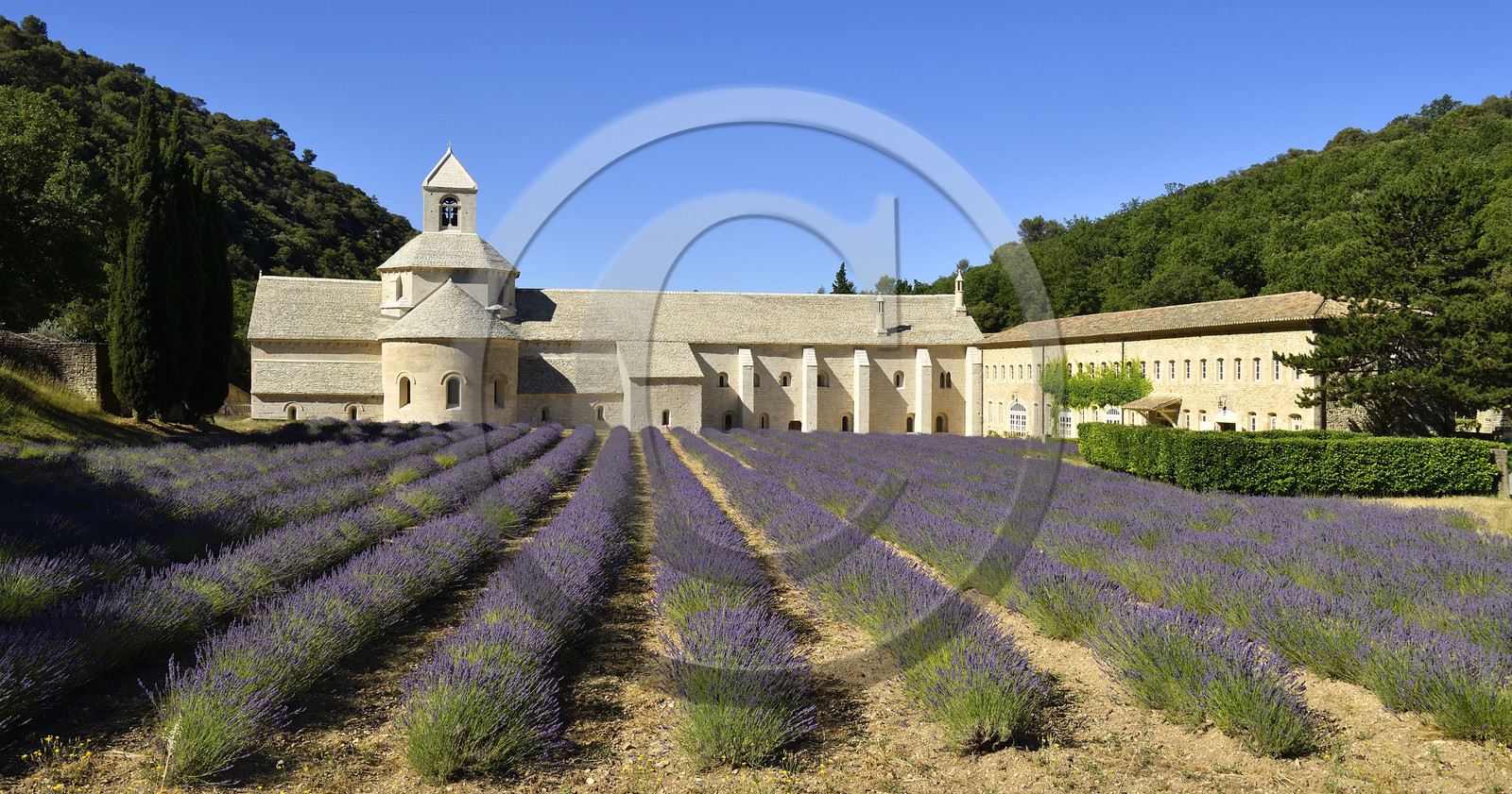 France, Senanque