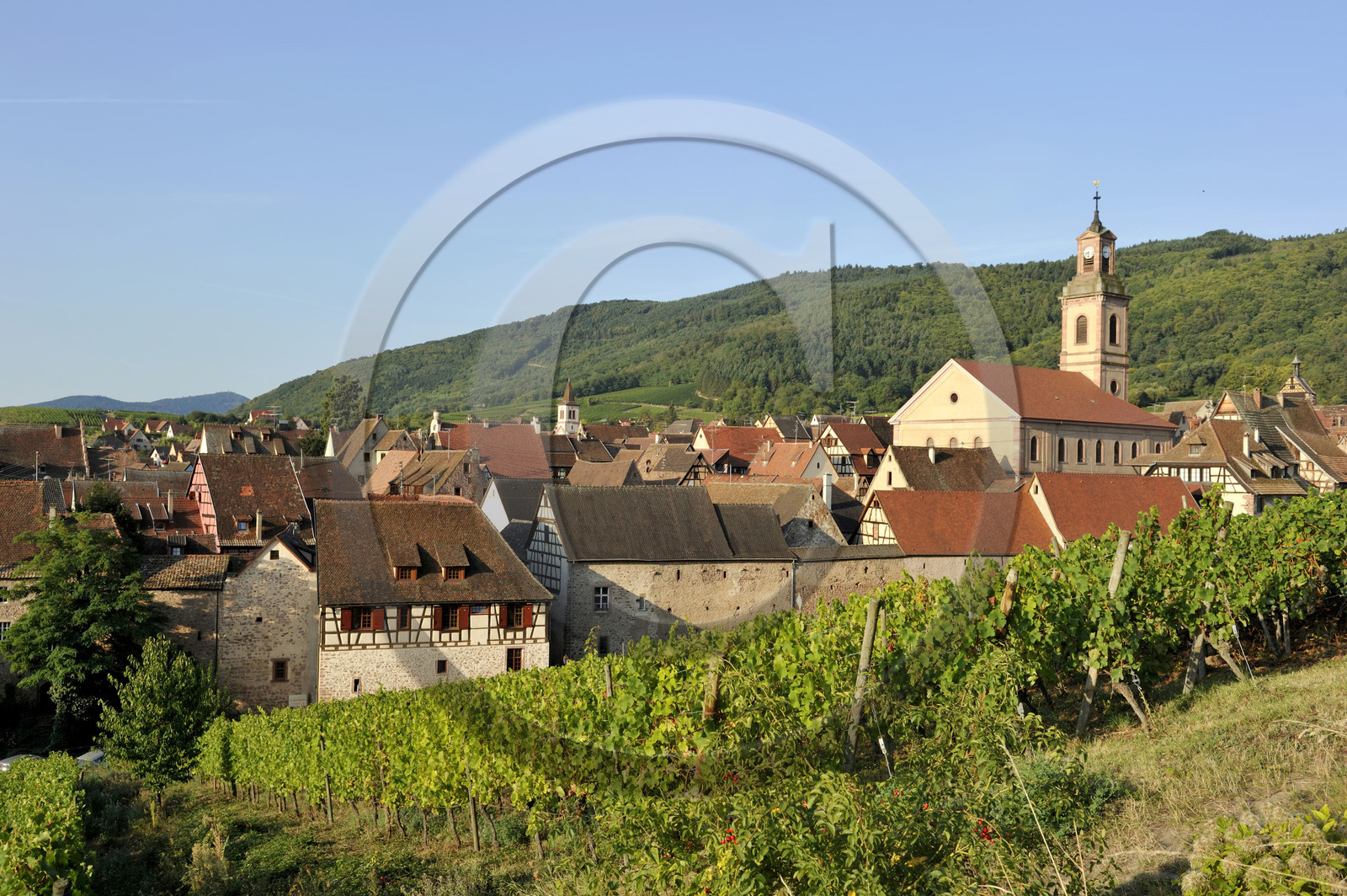 France, Riquewihr