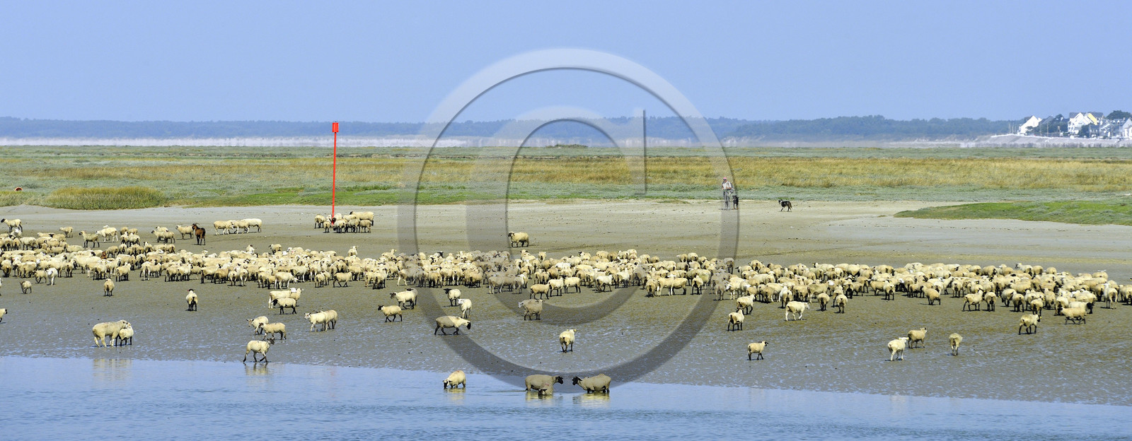 France, Baie de Somme