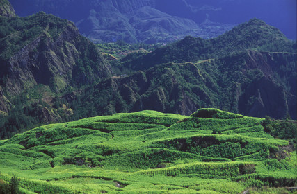 Ile de la Réunion.France