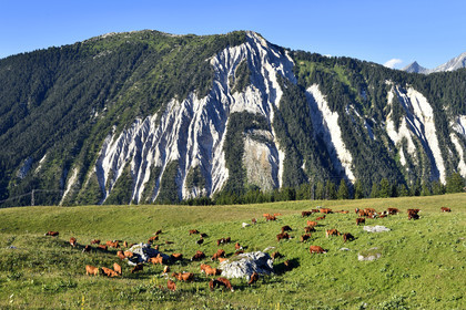 France, Alpes