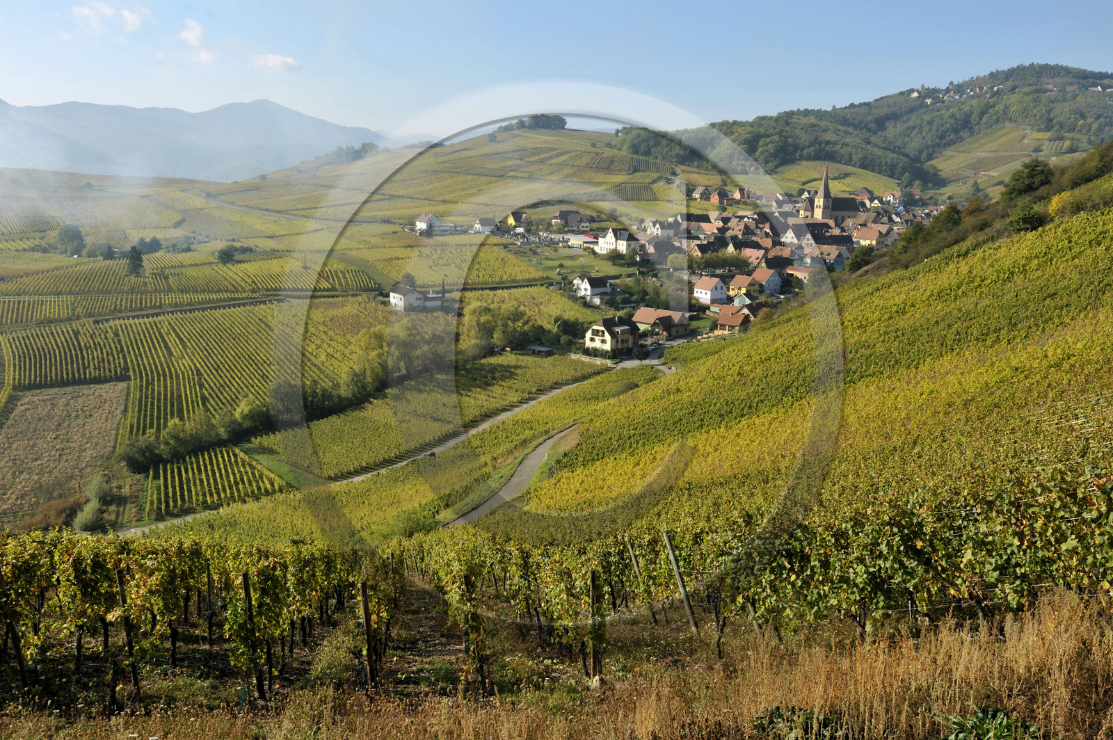 France, Niedermorschwihr