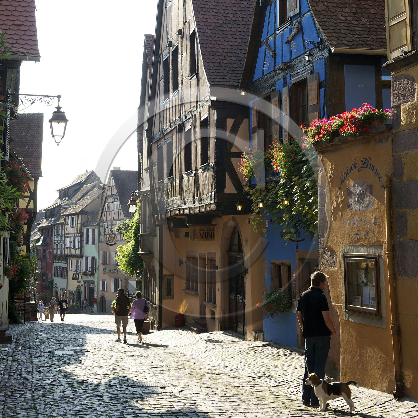 France, Riquewihr