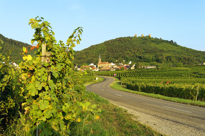 France, Husseren