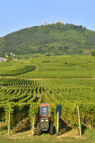 France, Husseren