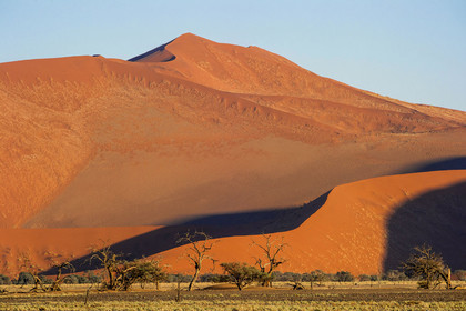 Namibie, Sossusvlei