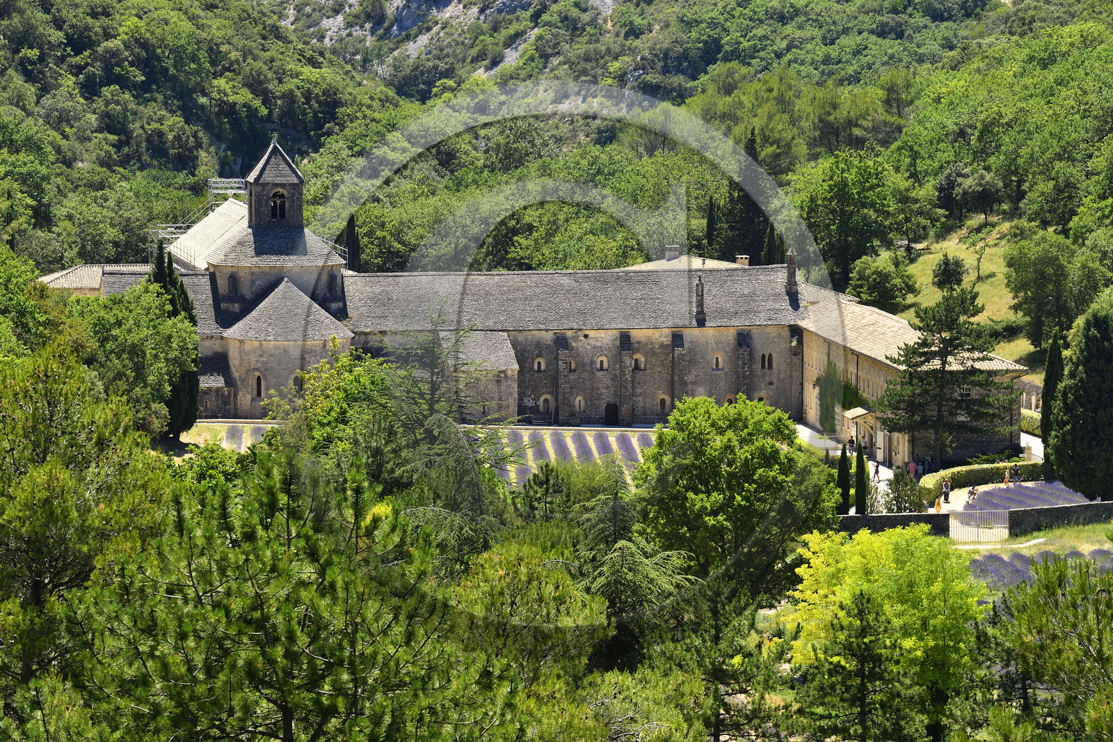 France, Senanque
