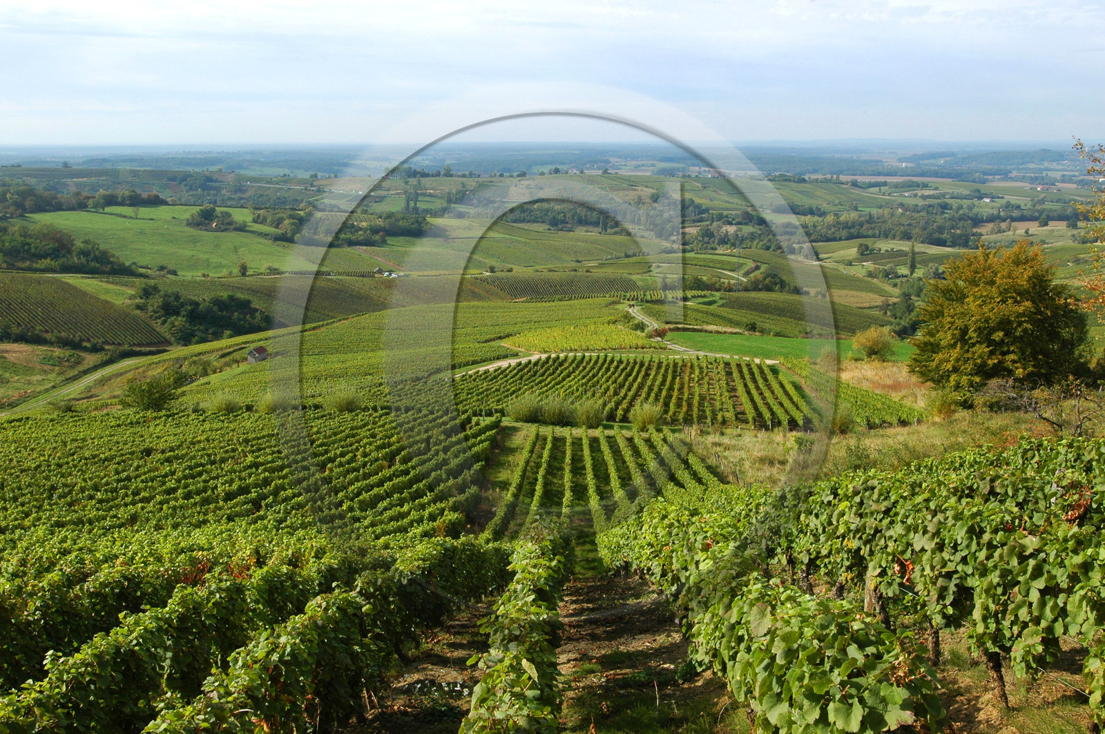 Franche-Comte, France