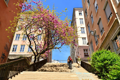 France, Lyon