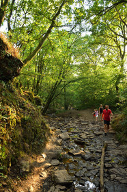 France, Brocéliande
