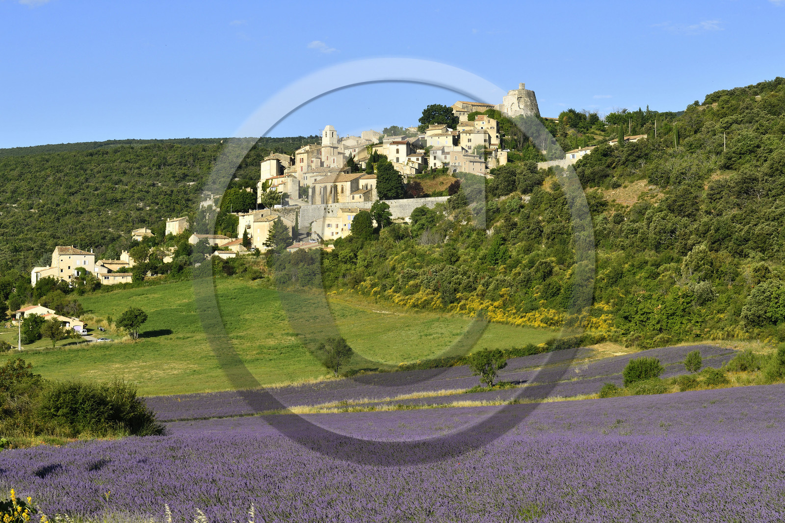 France, Simiane la Rotonde