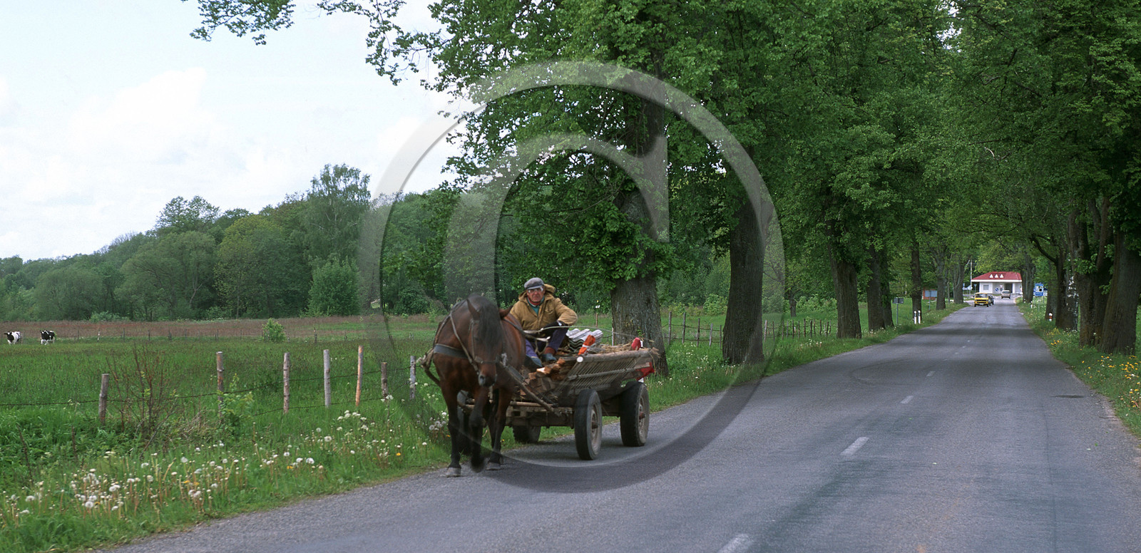 Lituanie, Pays Baltes