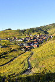 France, Niedermorschwihr