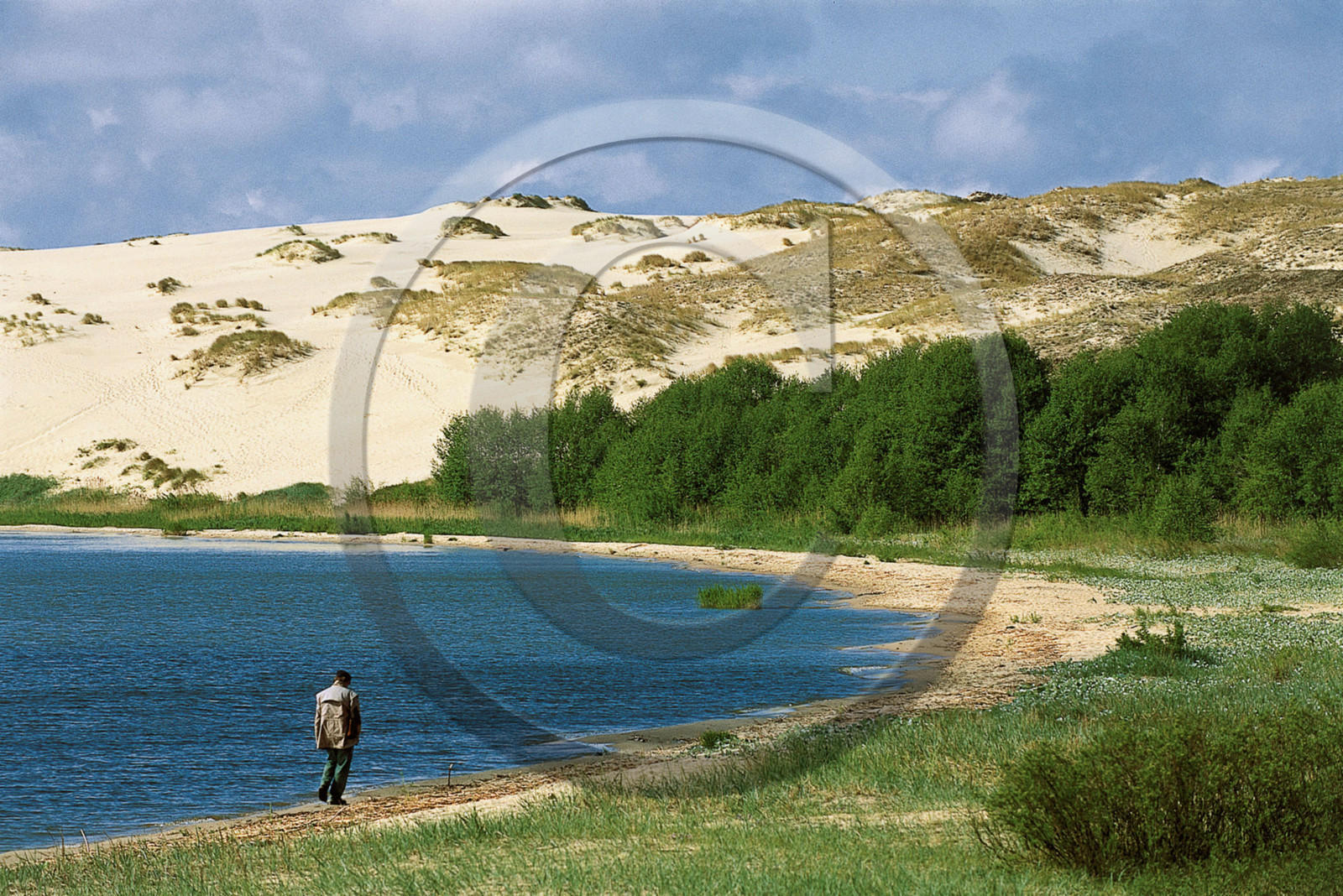 Lituanie, Pays Baltes