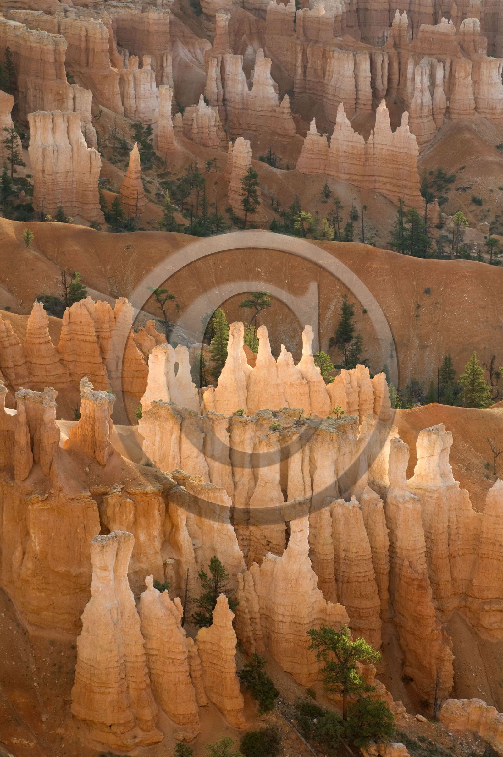 USA, BRYCE CANYON
