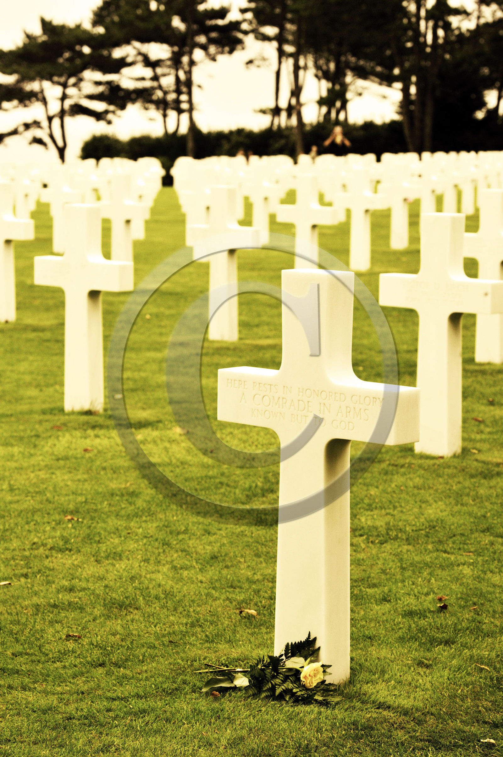 France, debarquement