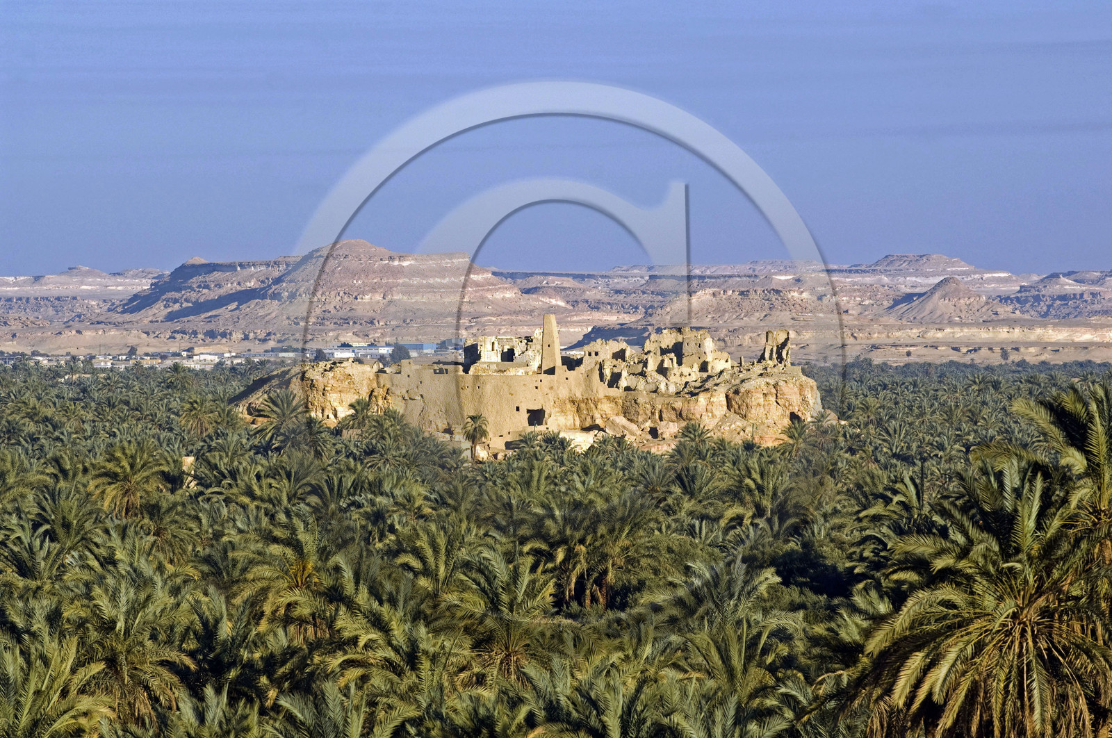 Egypte, Siwa