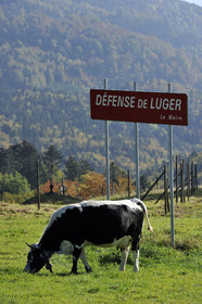 France, Grand Ballon
