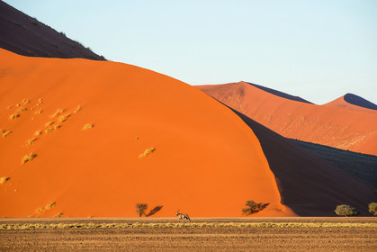 Namibie, Sossusvlei