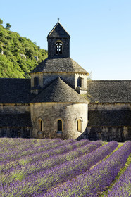 France, Senanque