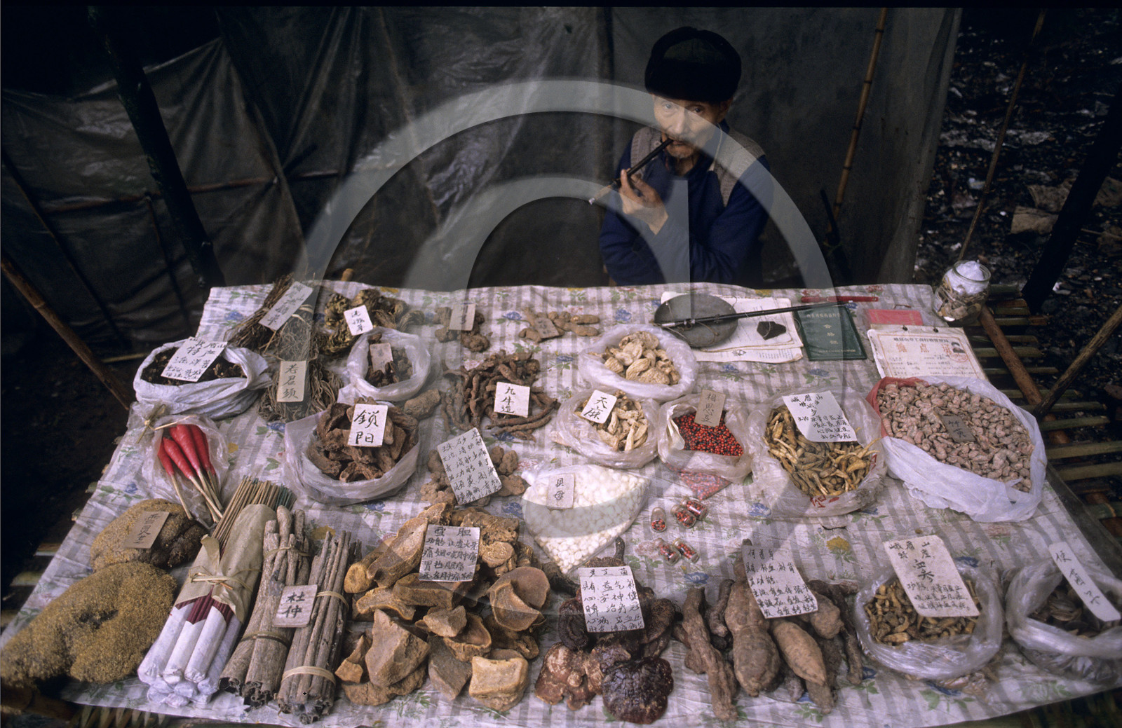 MEDECINE NATURELLE. CHINE