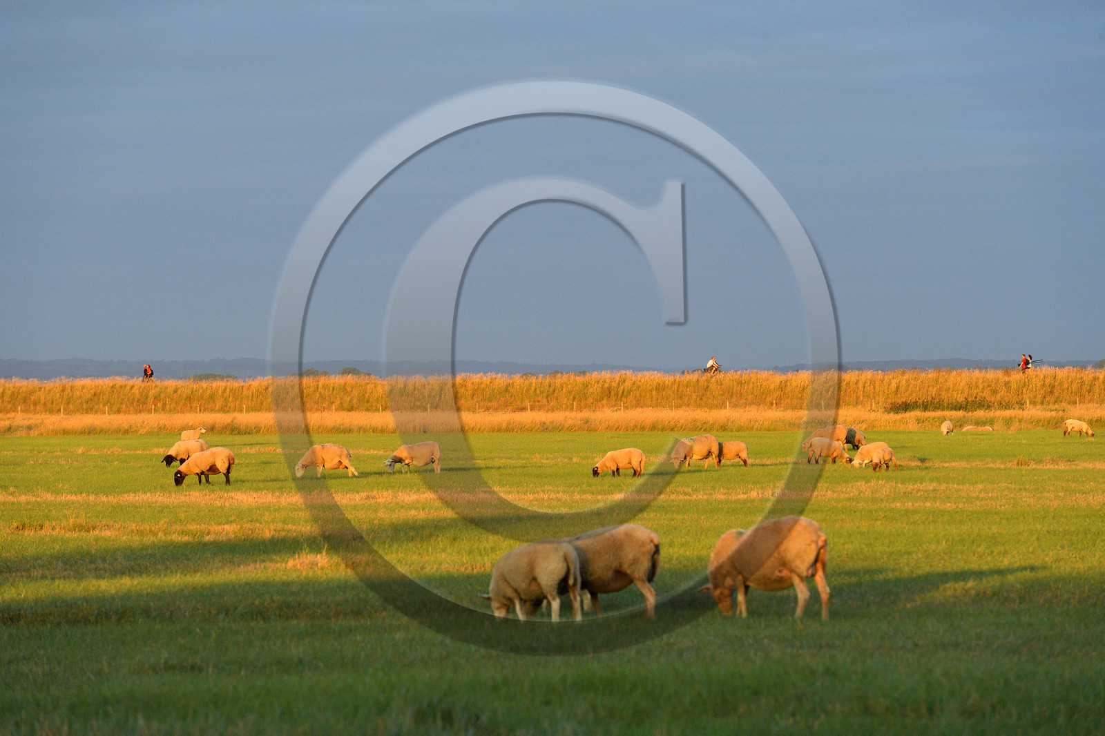 France, Mont Saint Michel