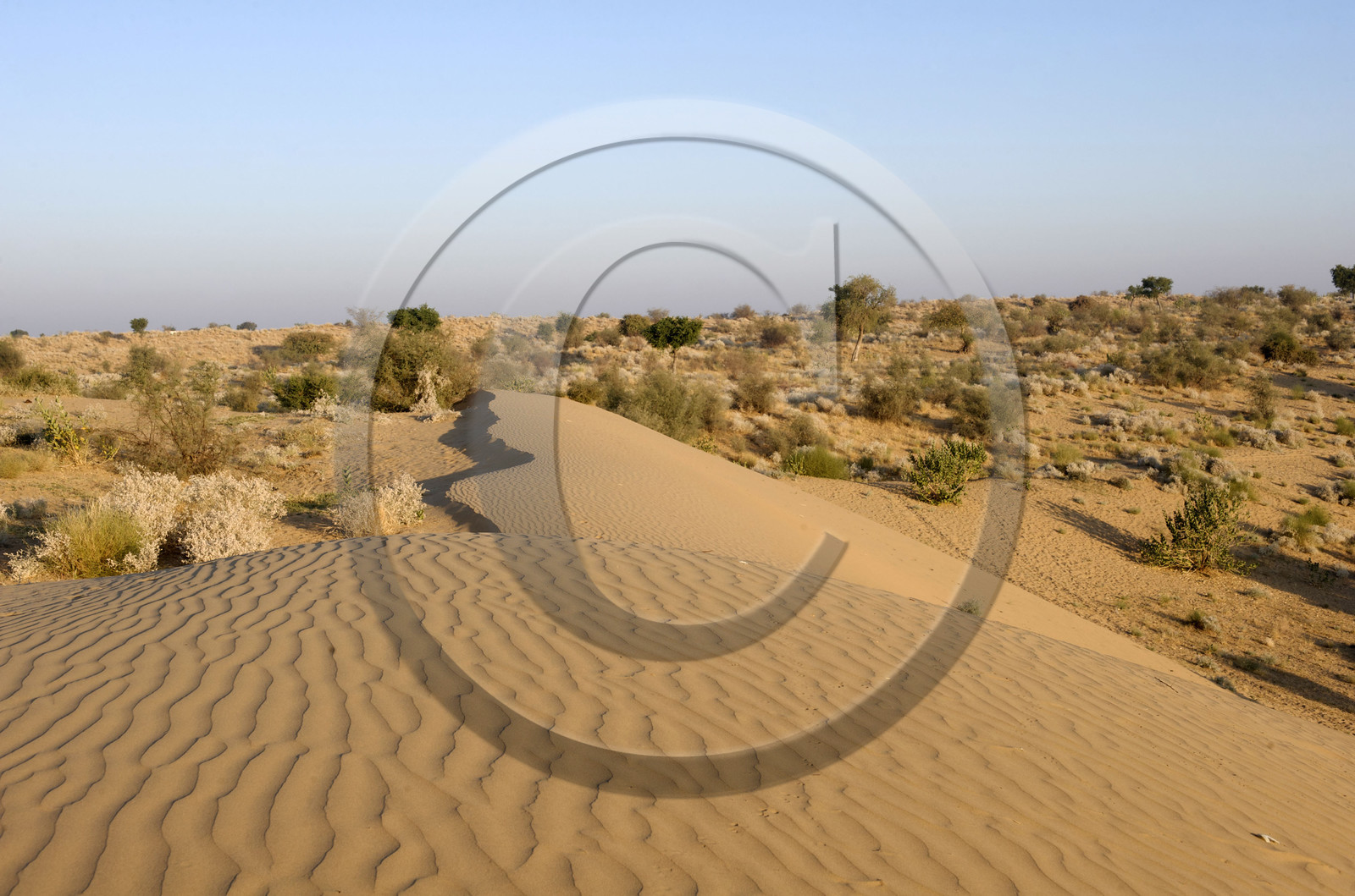 Inde, Rajasthan