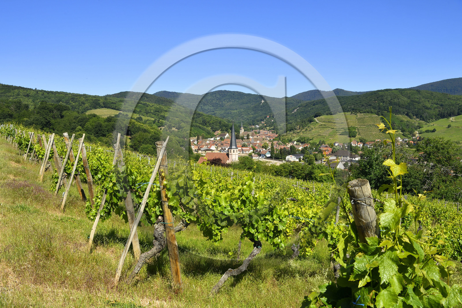 France, Andlau