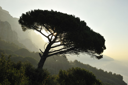 Italie, Amalfitaine