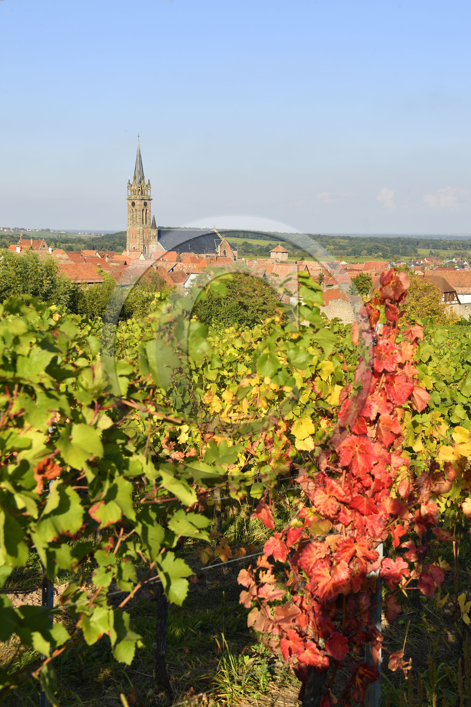 France, Dambach la Ville