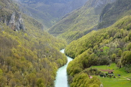 Montenegor, lac noir