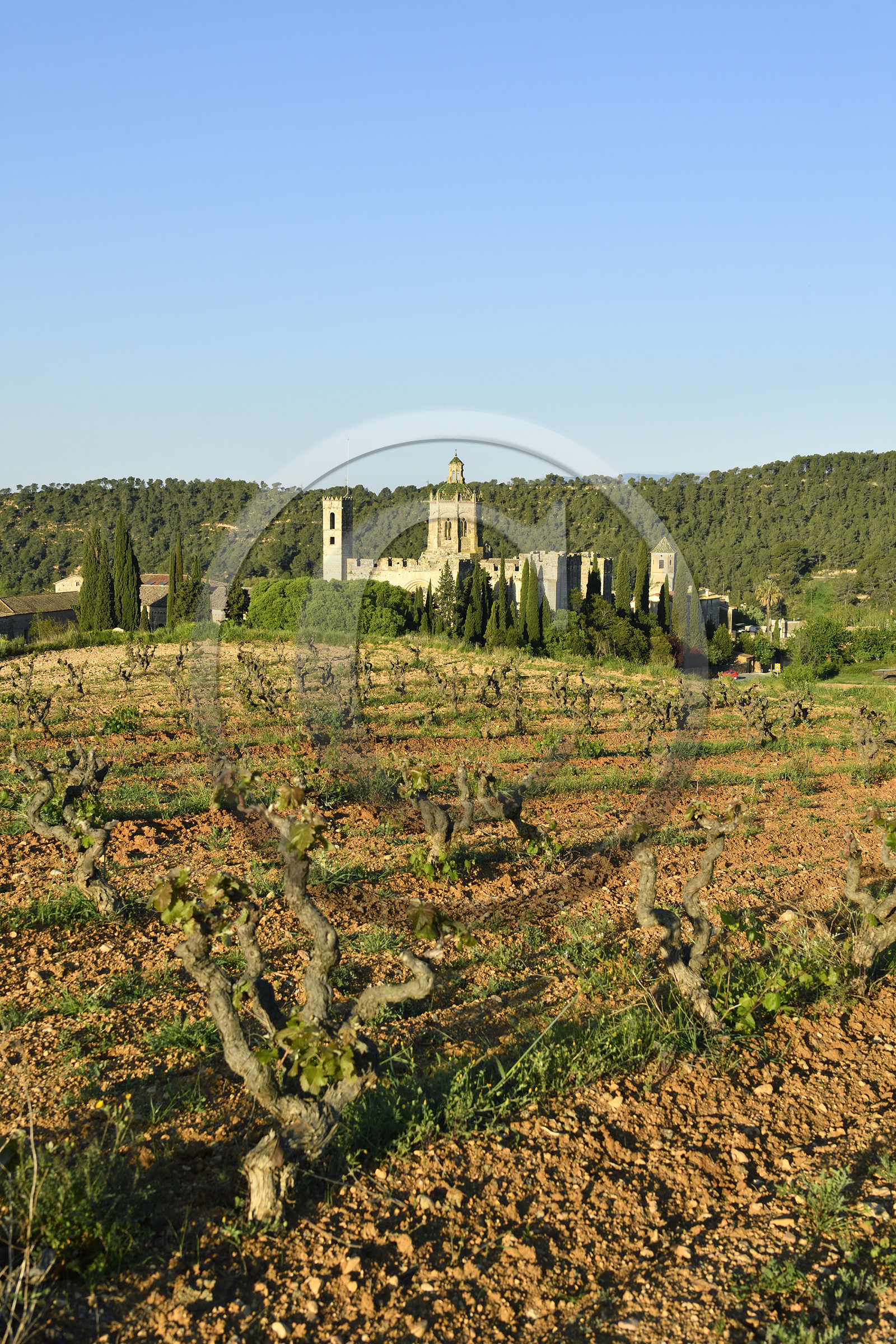 Espagne, Santes Creus