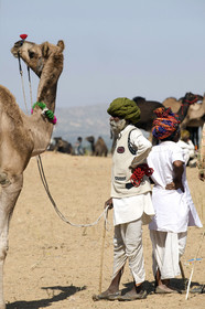 Inde, Pushkar