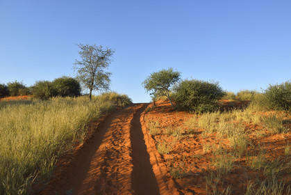 Namibie, Kalahari