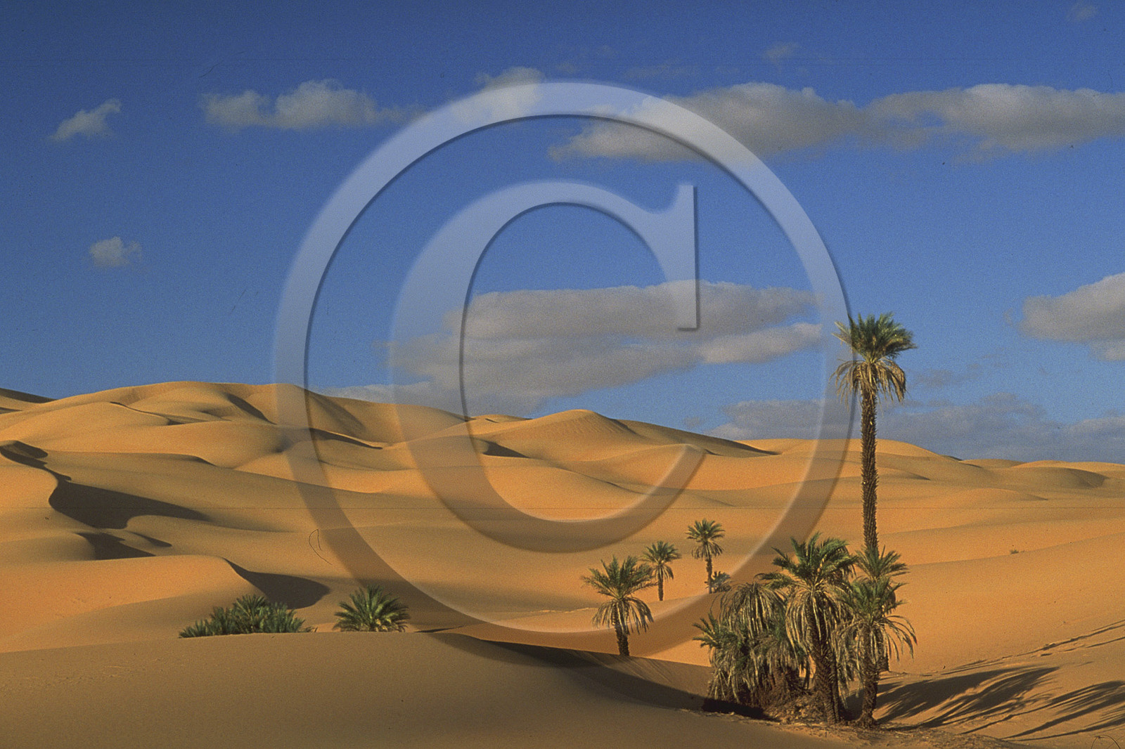 Dunes d' Oubarit, Libye