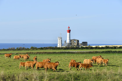 France, St Mathieu