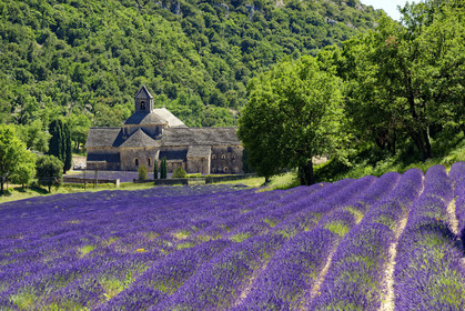 France, Senanque